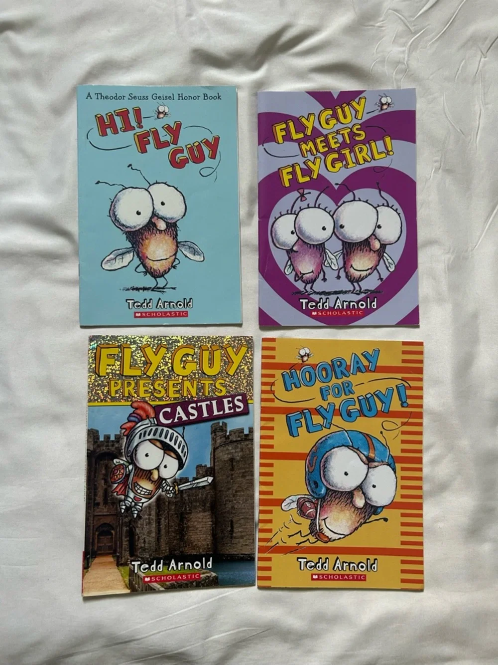 3/$10🎒 Fly Guy book lot Tedd Arnold
